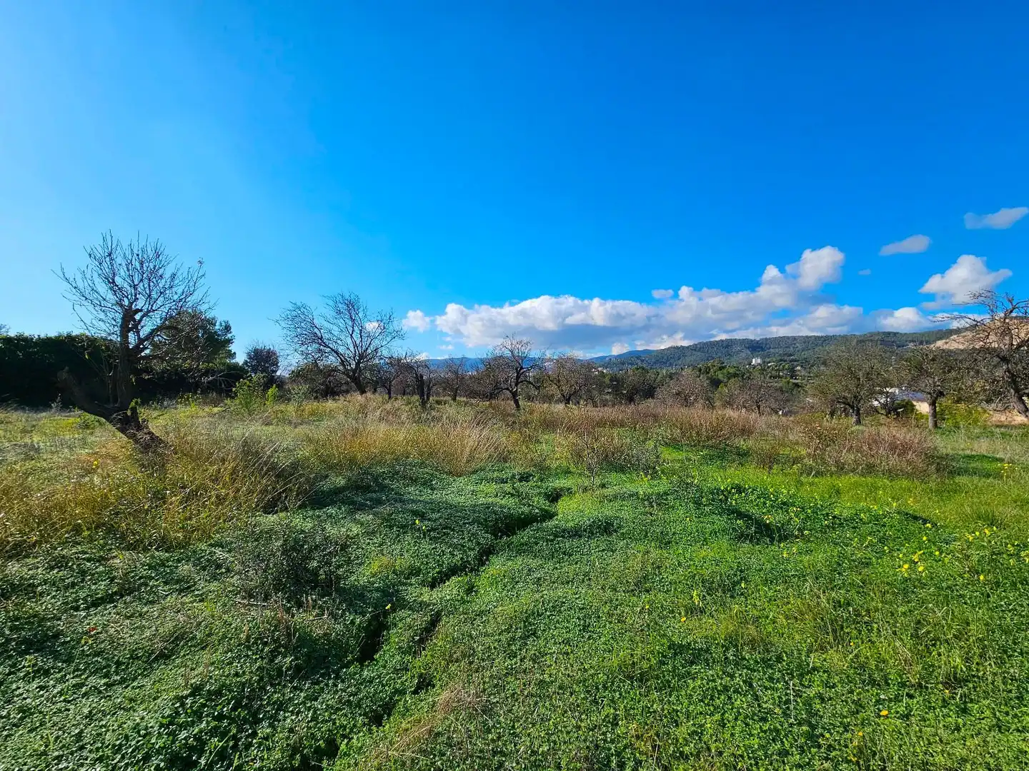Chalet en venta en Son Amonda - Reis Catòlics, imagen 20