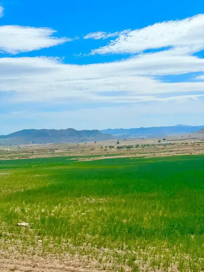 Terreni e lotti in vendita a Pedanías Norte, imagen 30