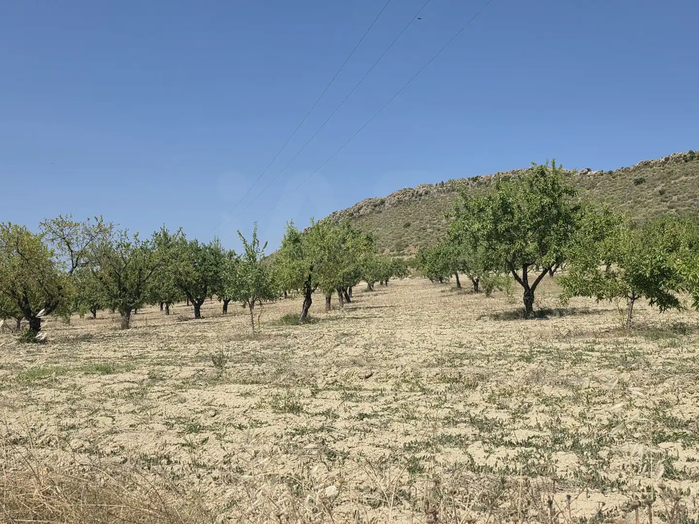 Terrenys i solars en venda a Cehegín, imagen 6