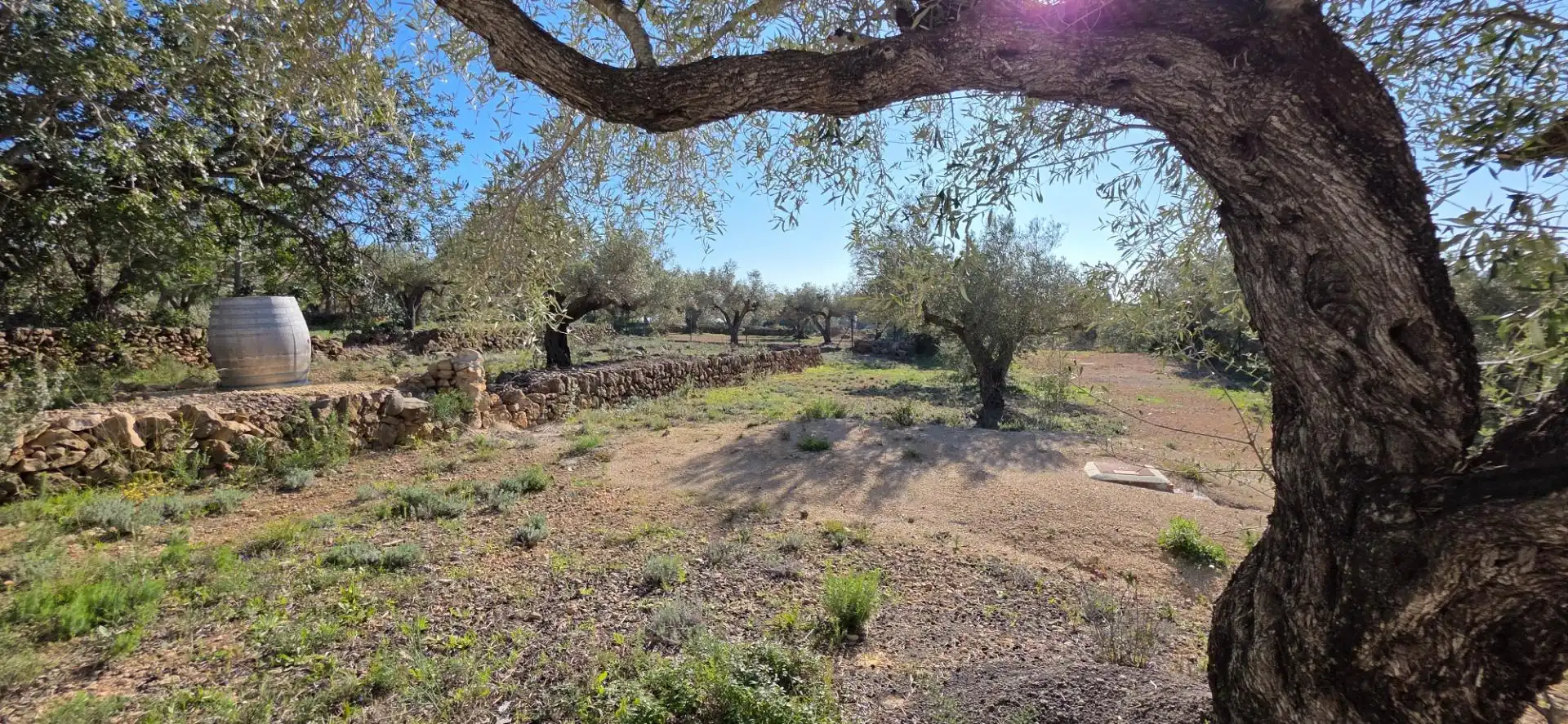 Finca rústica en venta en Roques Daurades - L'Estany