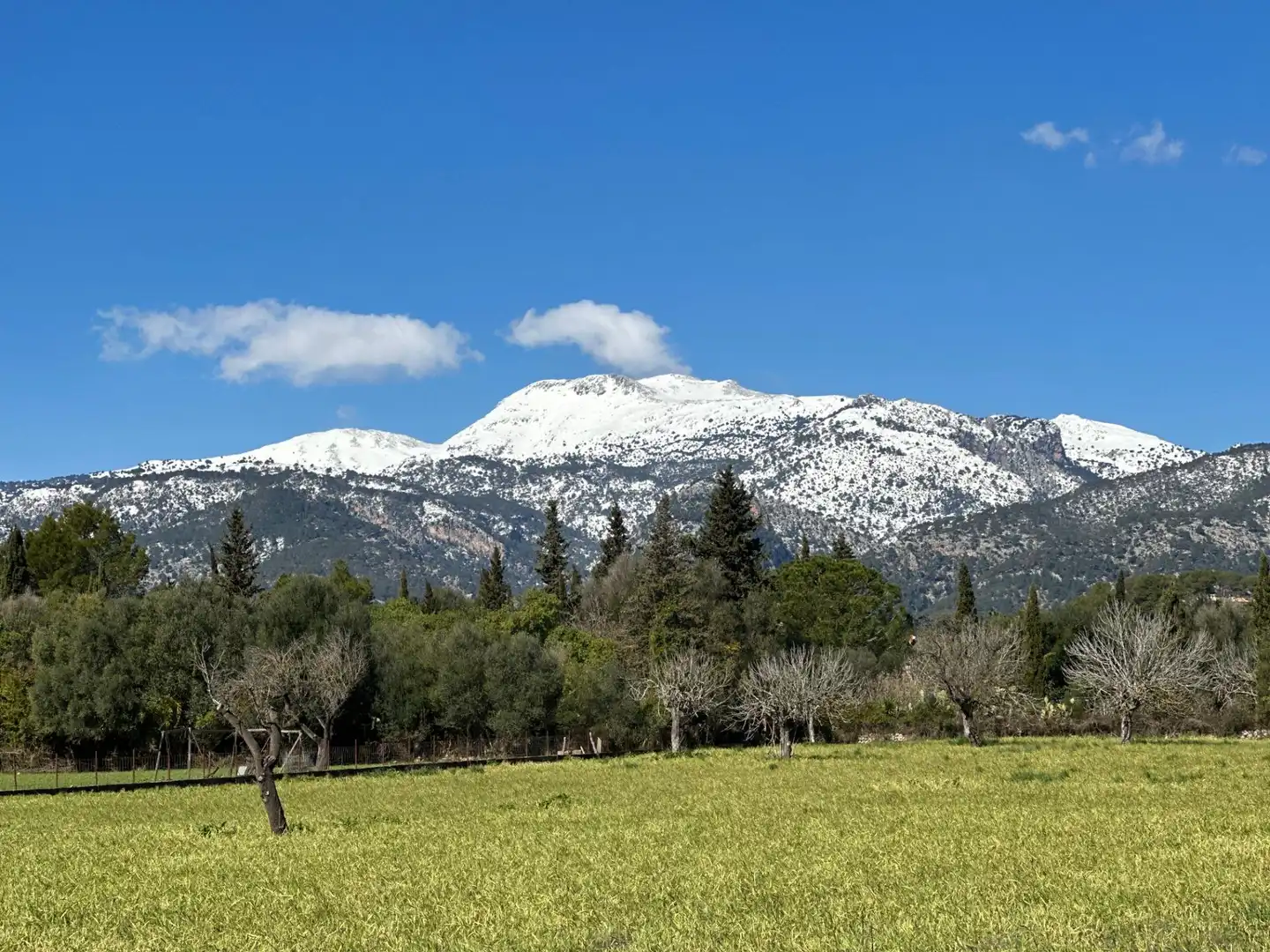 Terreno residenziale in vendita a Camino Selva, imagen 26
