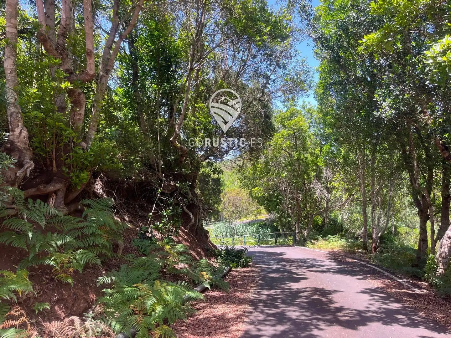 Terreno rústico en venta en Cruz de Tierno, Pol 2; Parc. 344 y 10344, imagen 12