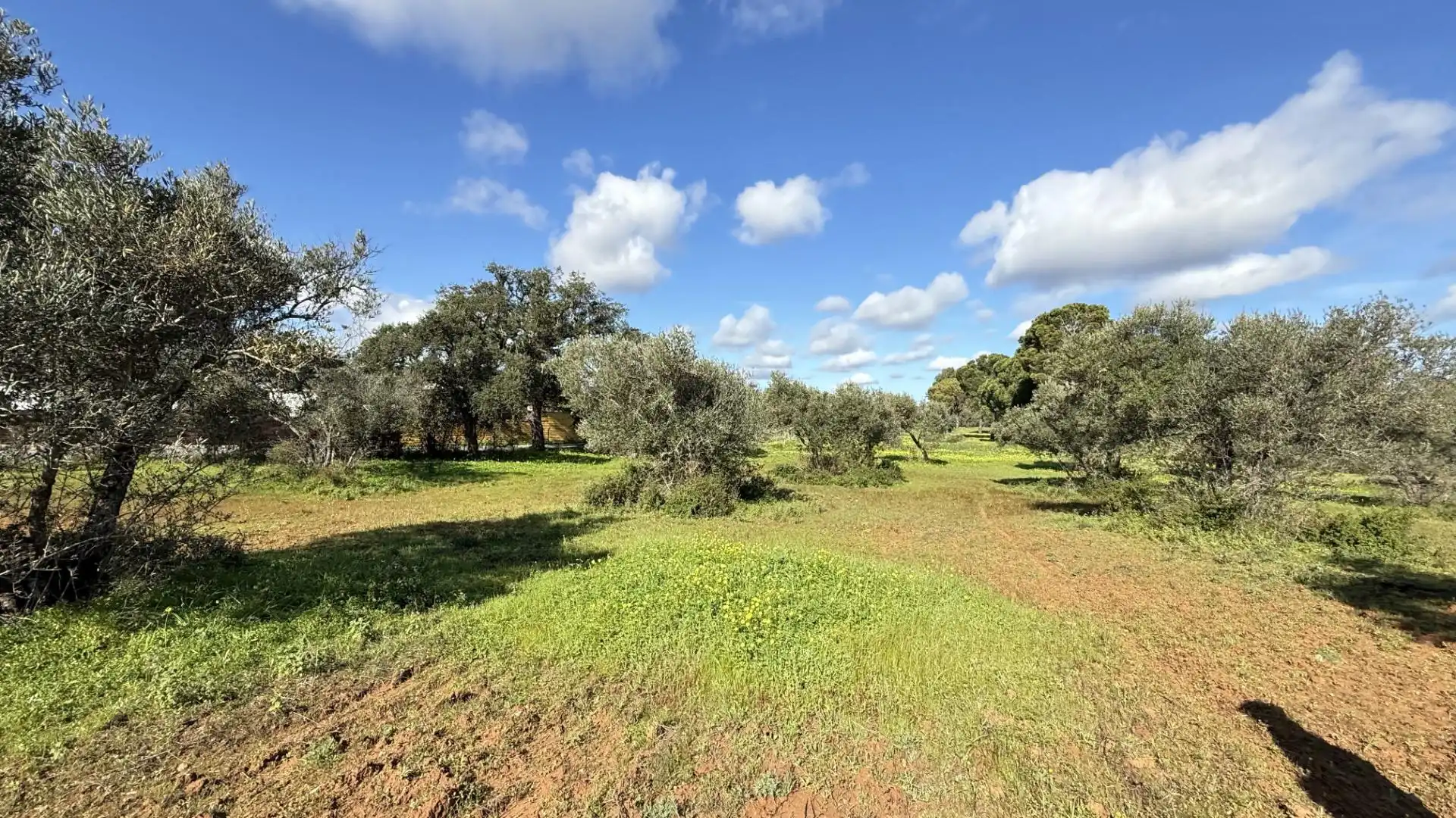 Country homes for sale in Gibraleón