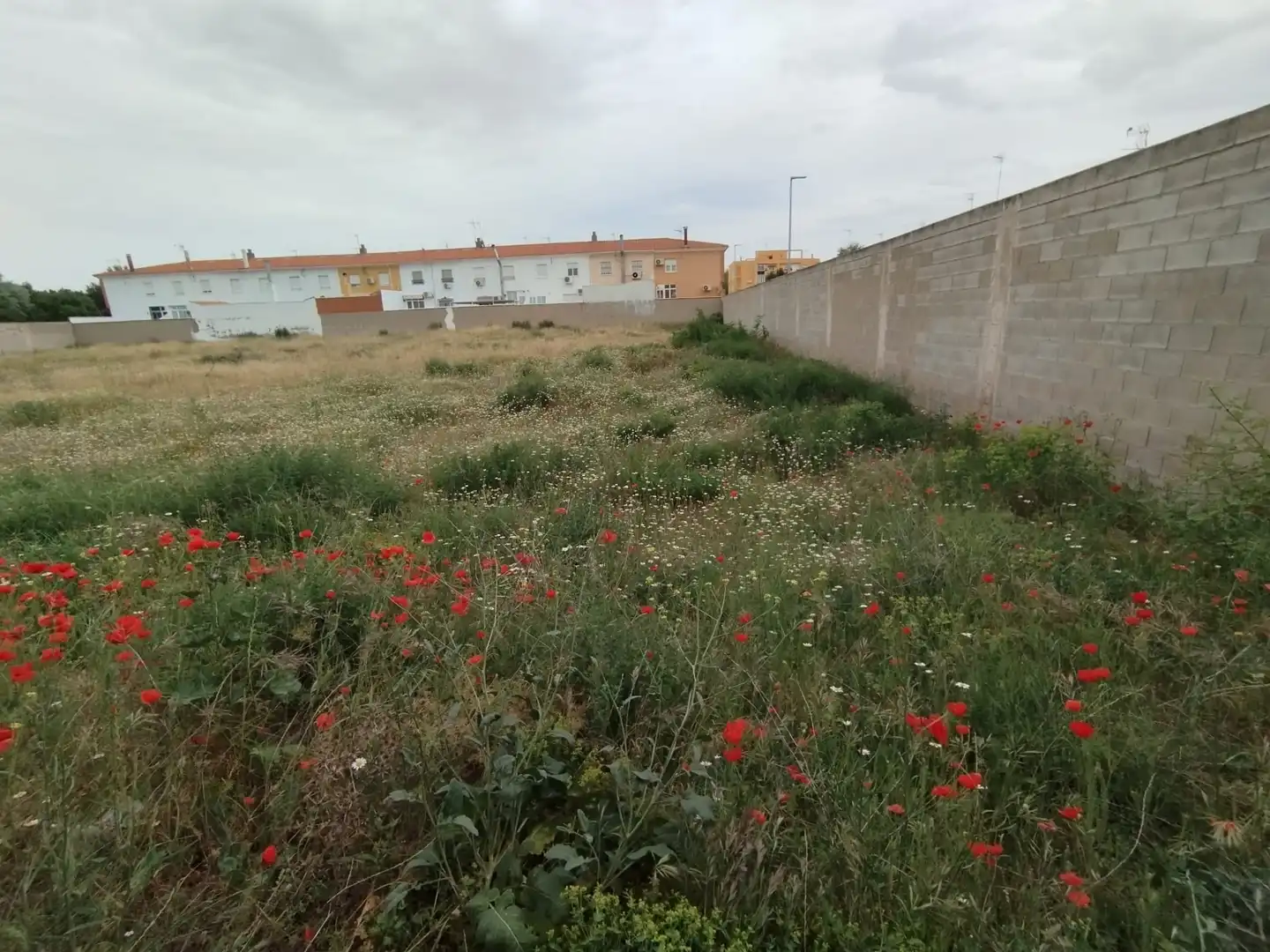 Terreny residencial en venda a Calle la Paz, imagen 13
