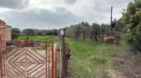 Photo 2 of Land for sale in T-310, 8, Montbrió del Camp, Tarragona