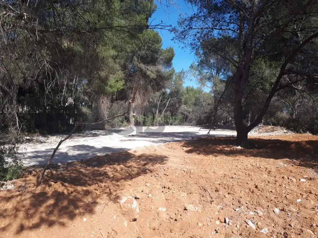 Terreno residencial en venta en Alberic, imagen 4