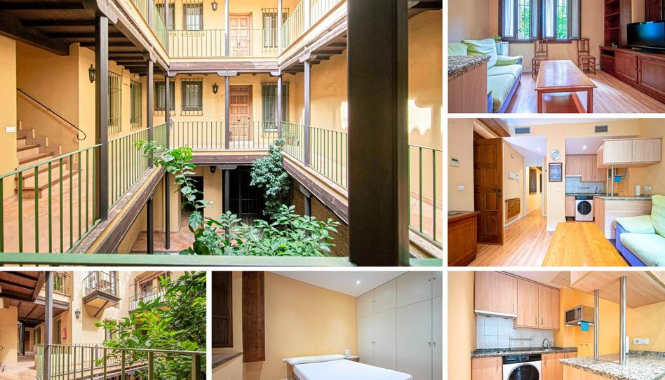 Photo 1 of Apartment to rent in Alfalfa - Santa Cruz, Sevilla