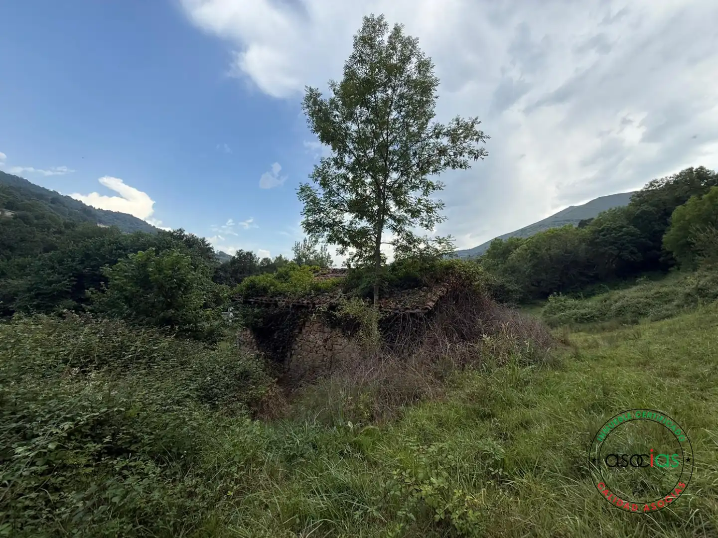 Land for sale in Quirós