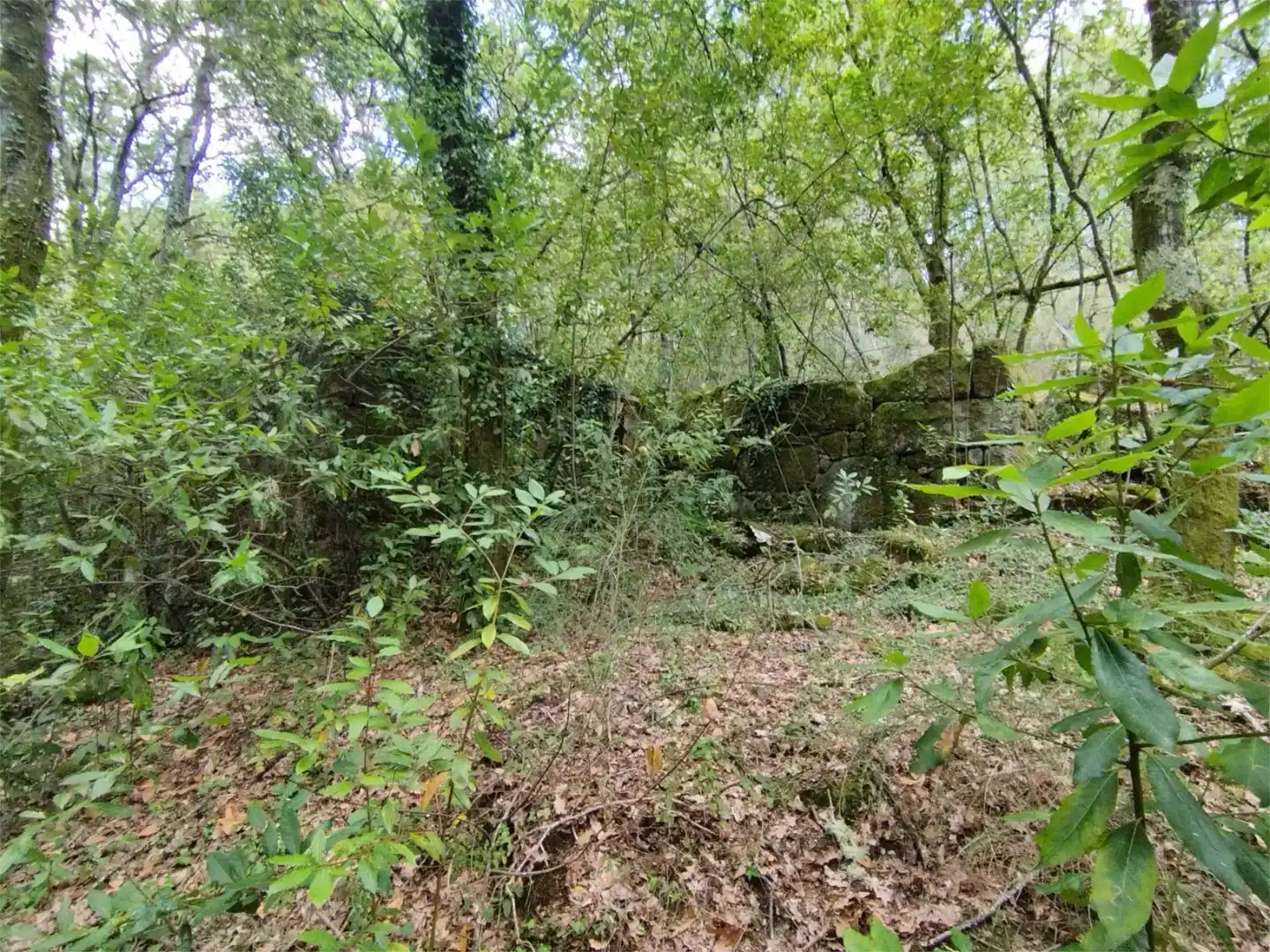 Casa o xalet en venda en Mos