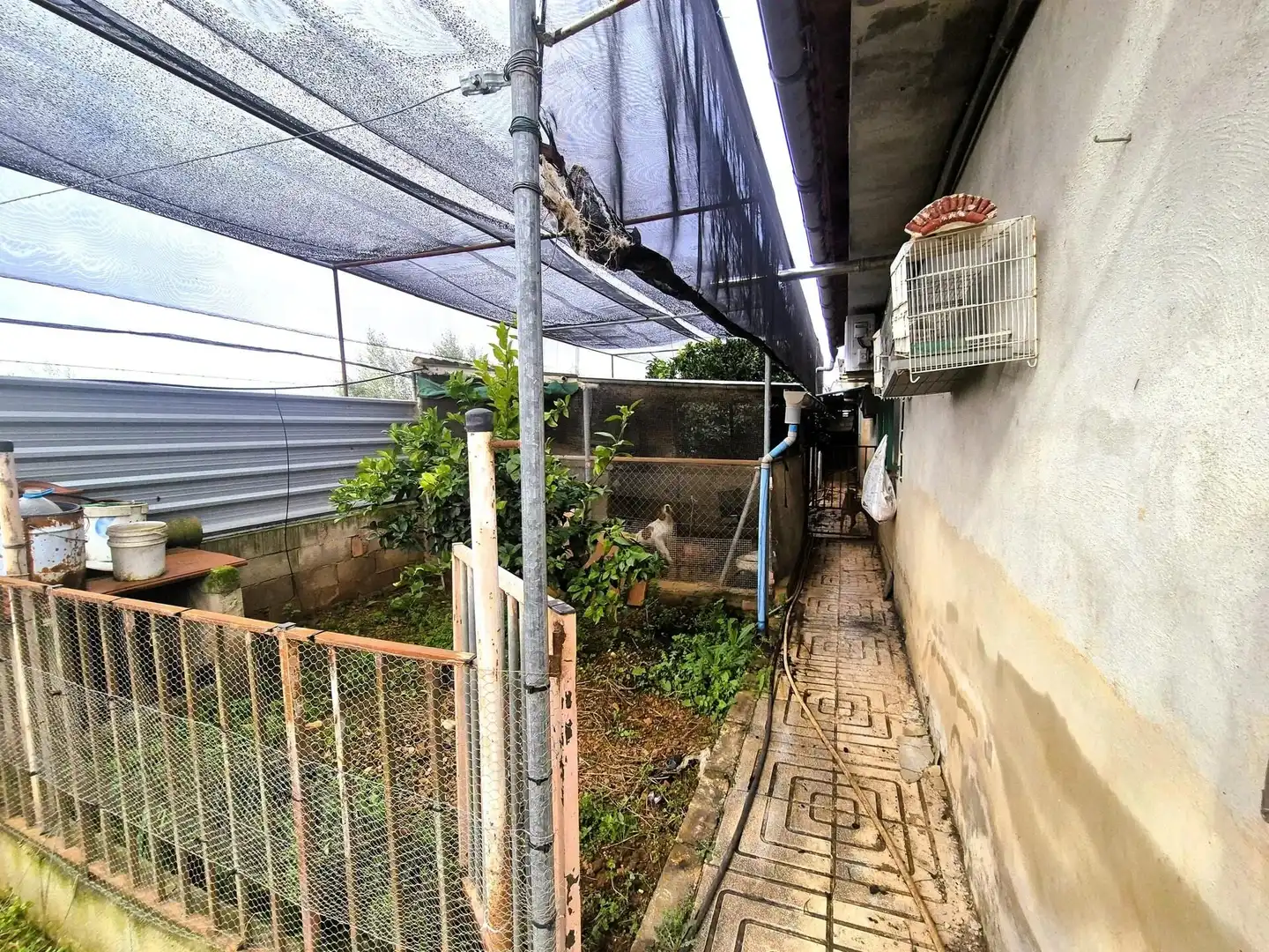 House with pool for sale in Moraleda de Zafayona, imagen 18
