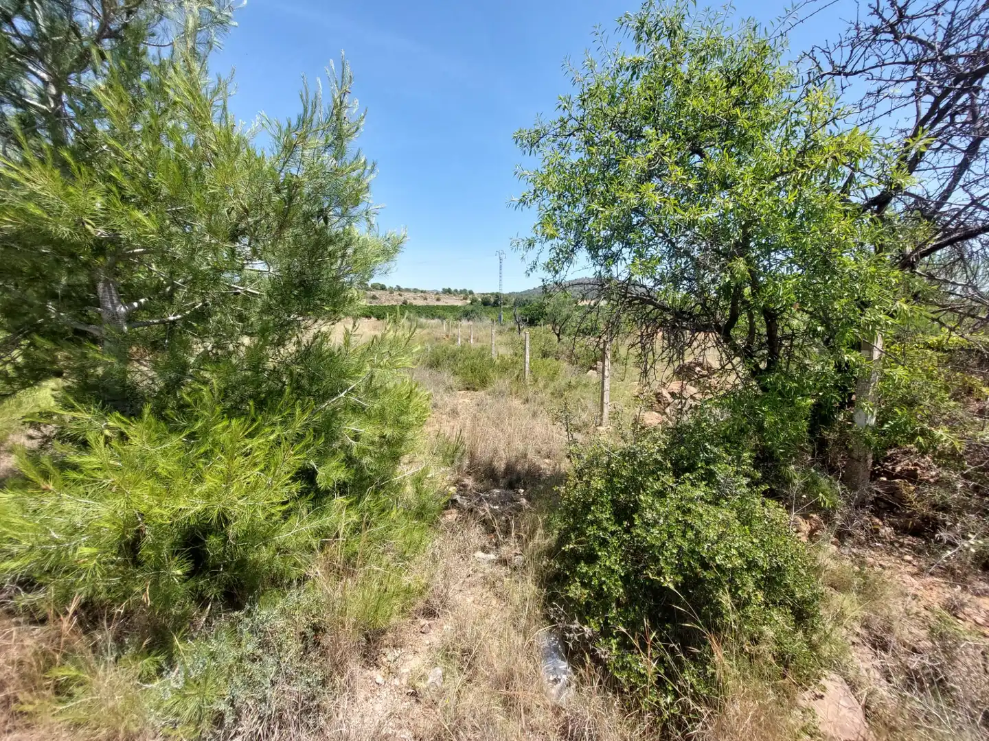 Terreno en venta en Náquera