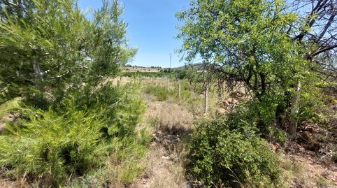 Foto 2 de Terreno en venta en Partida Cabec Bort 4, Corralet - Bonanza - Tres Rutas, Náquera
