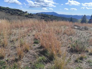 Lands and plots for sale in Campins