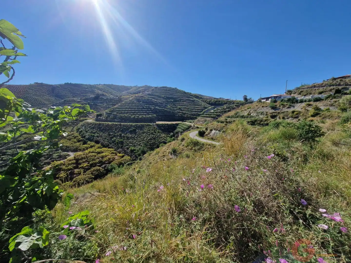 Terrenys i solars en venda a Monte los Almendros - El Pargo - Costa Aguilera, imagen 3