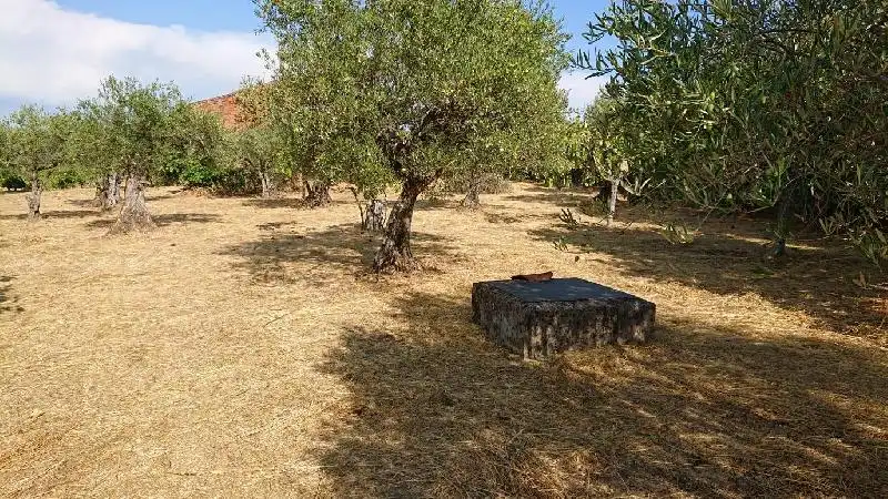 Terreni e lotti in vendita a Tejeda de Tiétar, imagen 6