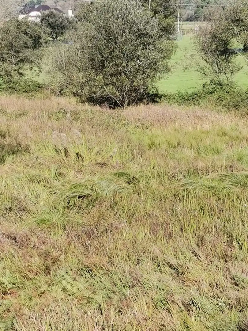 Terreny rústic en venda a Santa María de Cayón, imagen 3