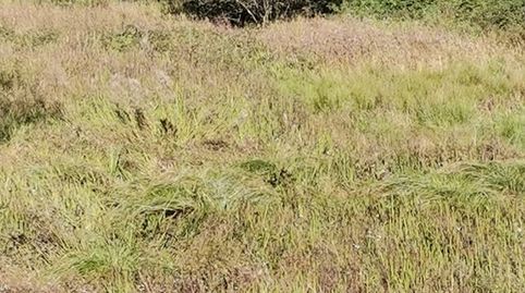 Terreno rustico, imagen 3