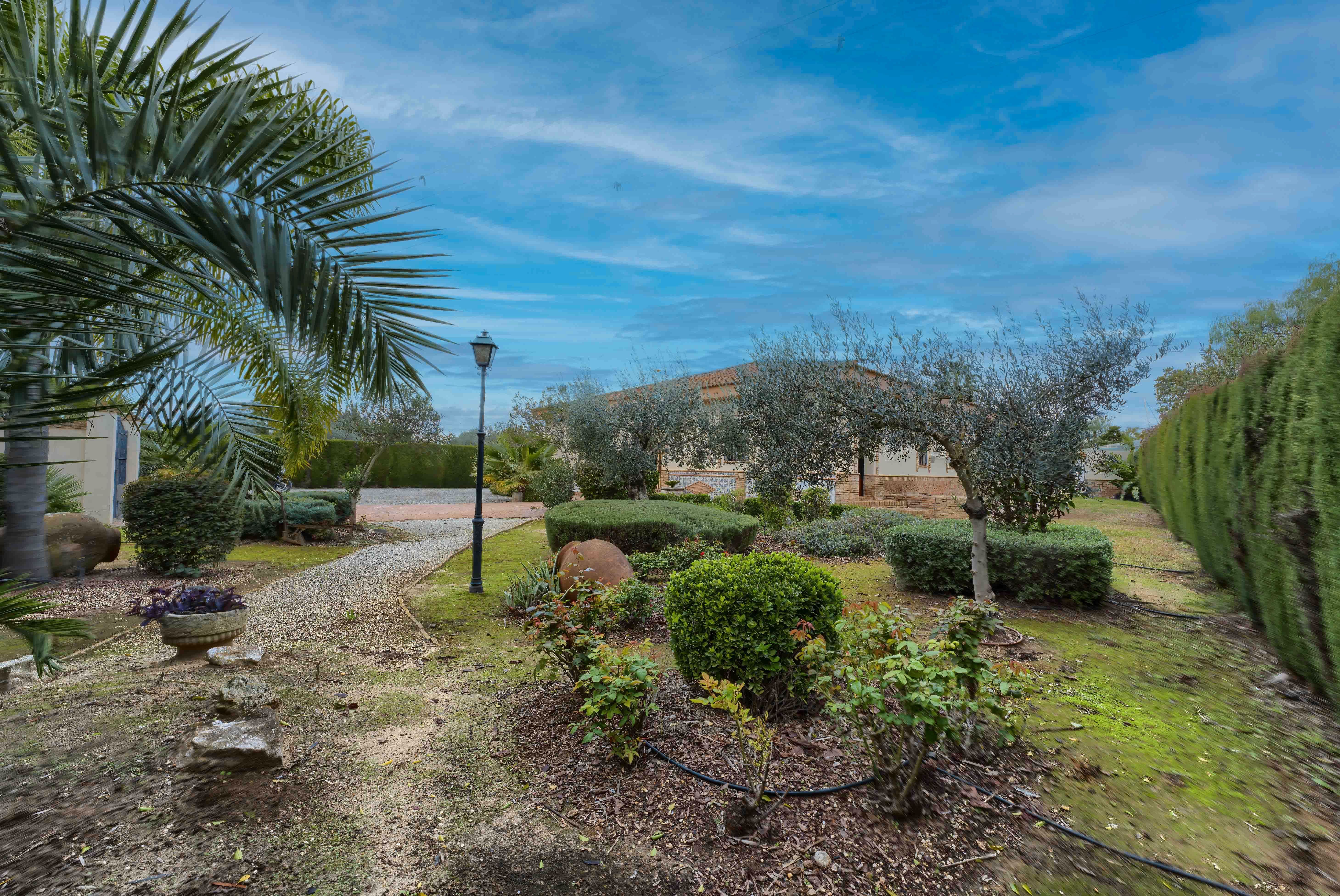 Jardí de Finca rústica en venda en Pilas amb Jardí privat, Terrassa i Piscina