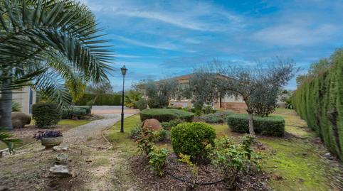 Foto 2 de Finca rústica en venda a  Carretera Villamanrique,la Vereda 27, Pilas, Sevilla