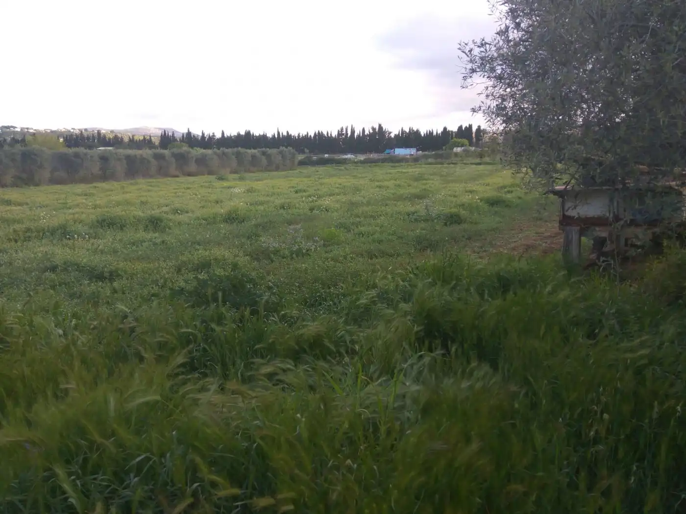 Grundstücke zum Verkauf in Santa Maria