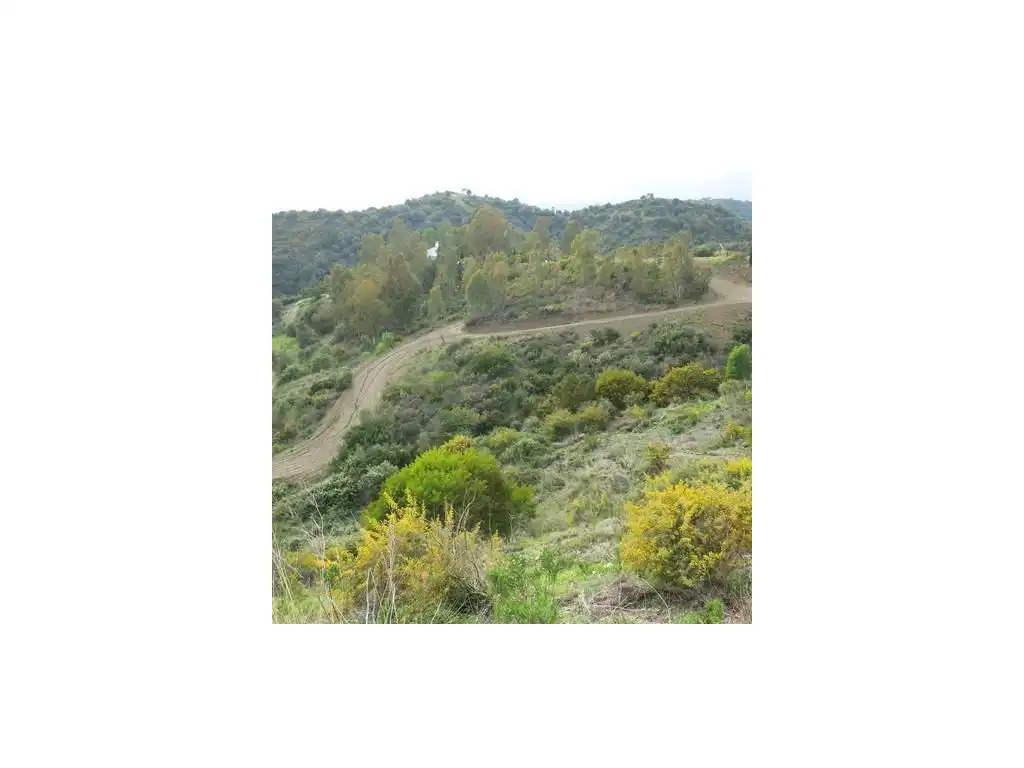 Finca rústica en venta en Estepona
