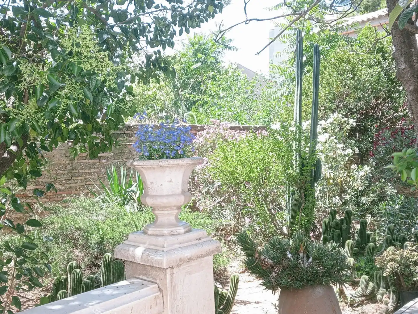Maison avec jardin à vendre à Santa Isabel - Movera, imagen 29