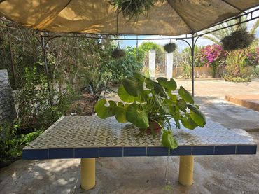 Terrenys i solars en venda a Cala Figuera