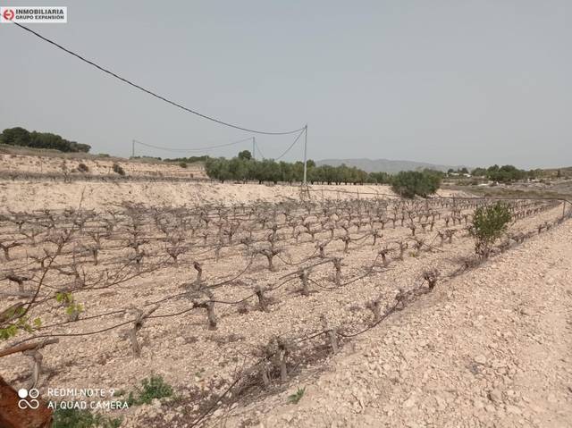 Casa-chalet en Venta en Novelda