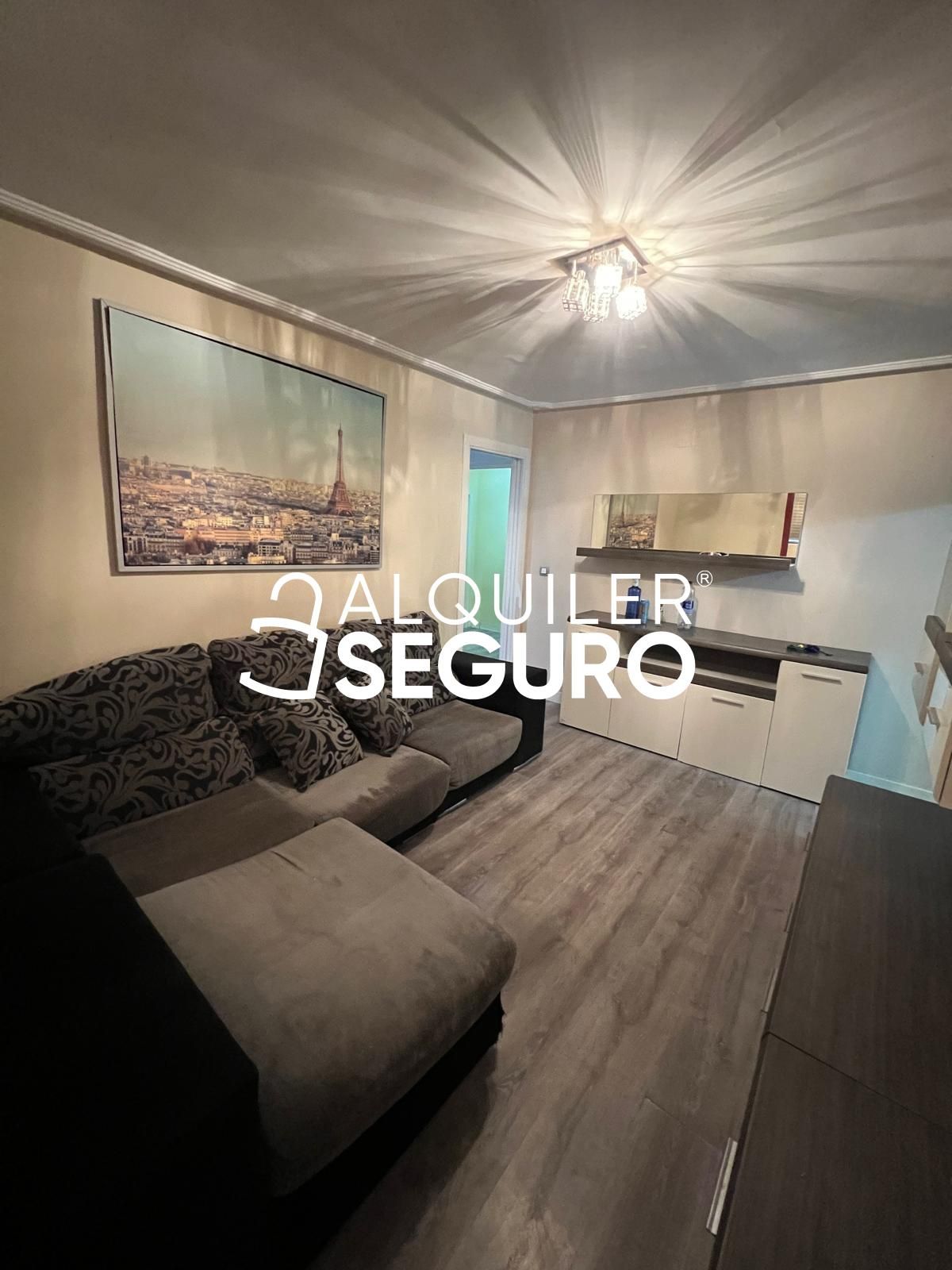 Living room of Flat to rent in  Madrid Capital  with Heating and Furnished
