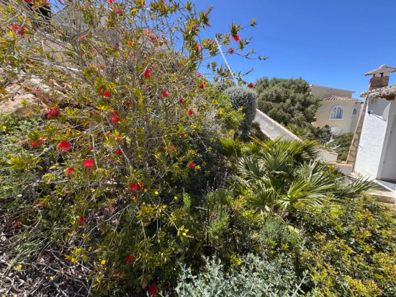 Villa mit Pool zum Verkauf in Cumbre del Sol, imagen 20
