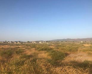 Land for sale in Lorca