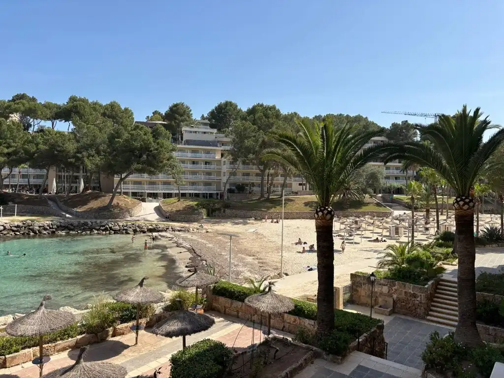 Apartments for sale in Calvià  with Air Conditioner, Terrace and Furnished