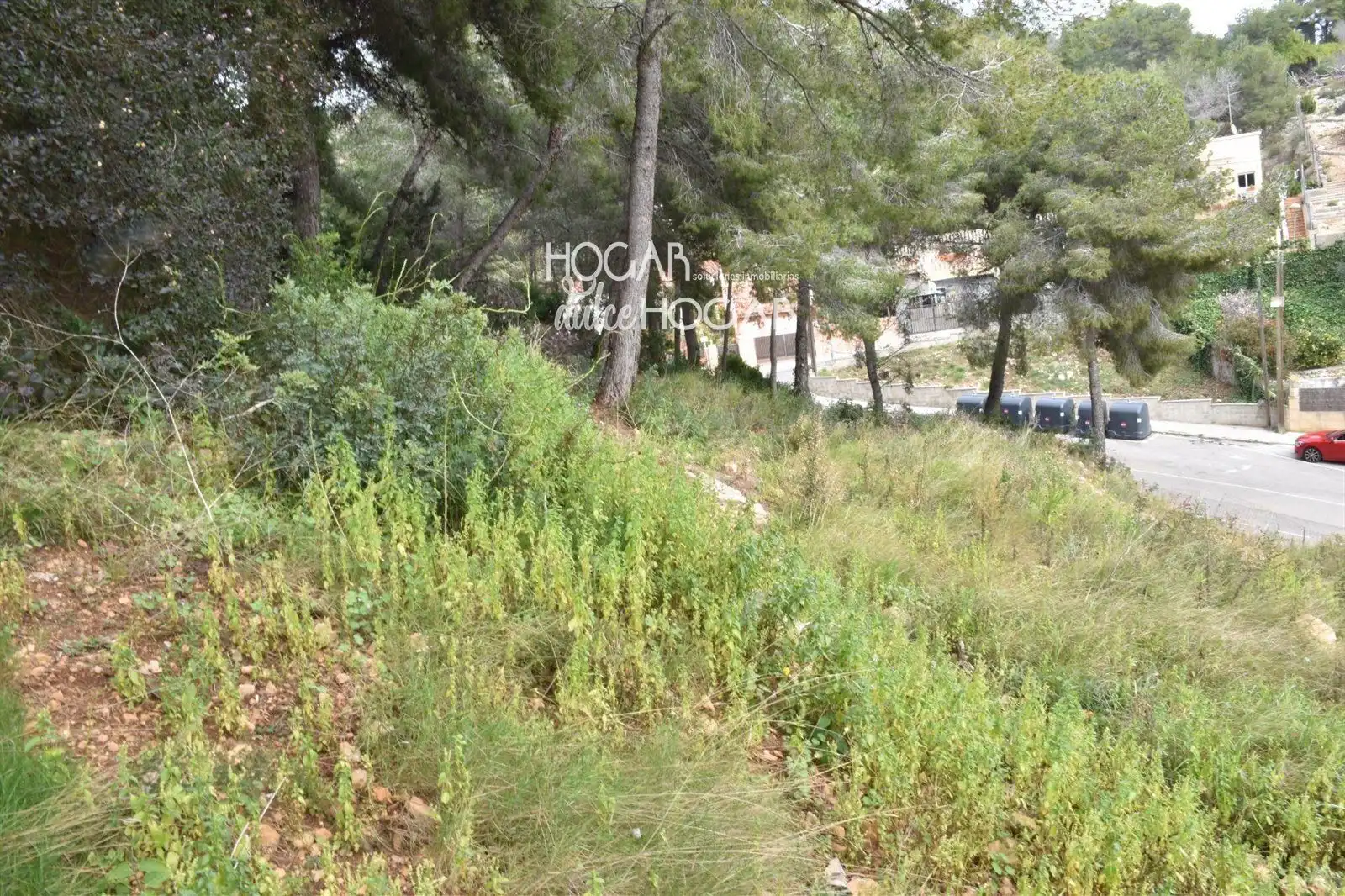 Rural land for sale in GLADIOL, imagen 7