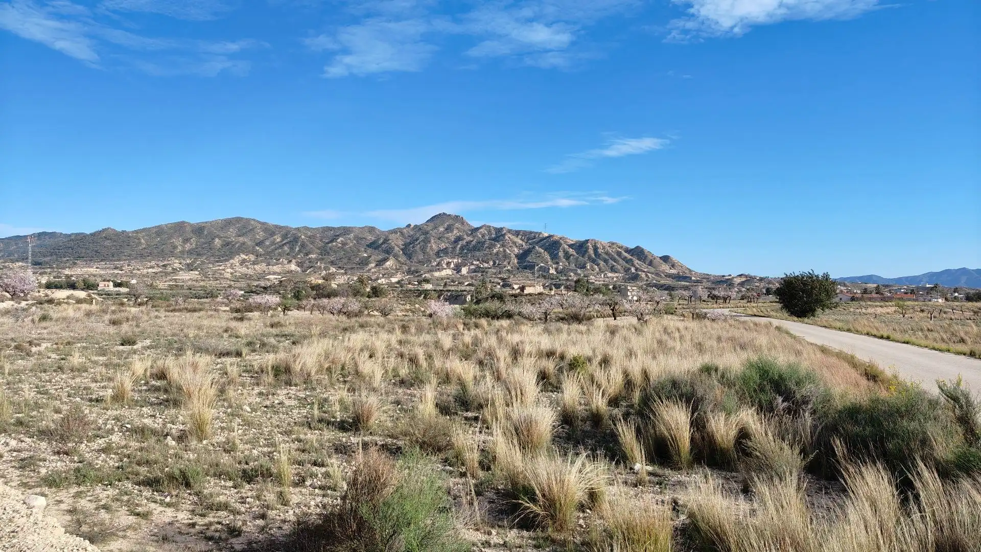 Lands and plots for sale in Abanilla, imagen 2