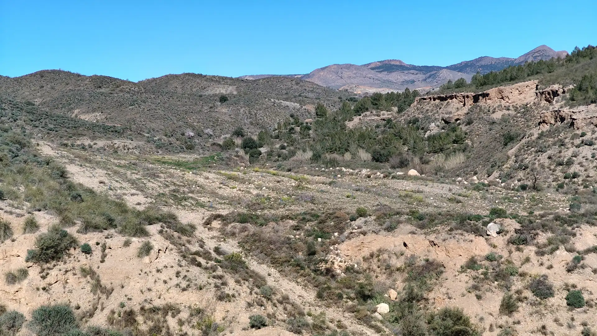 Terrain rustique à vendre à Partaloa, imagen 4