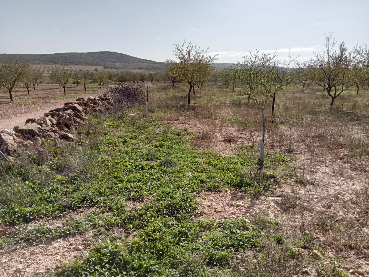 Casa o xalet en venda en Lezuza