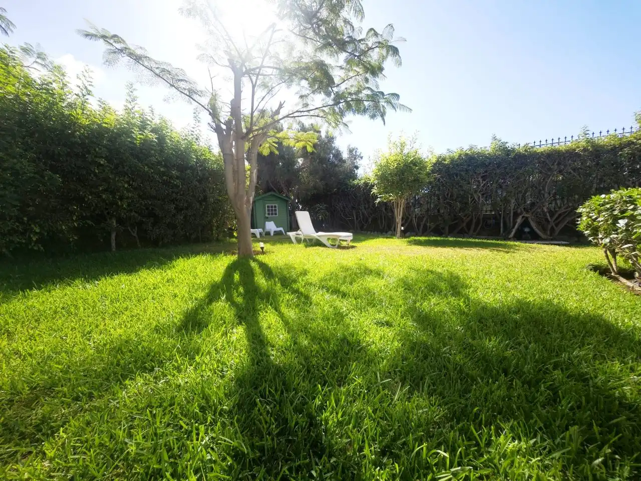 Garden of Houses for rent in Maspalomas - Meloneras