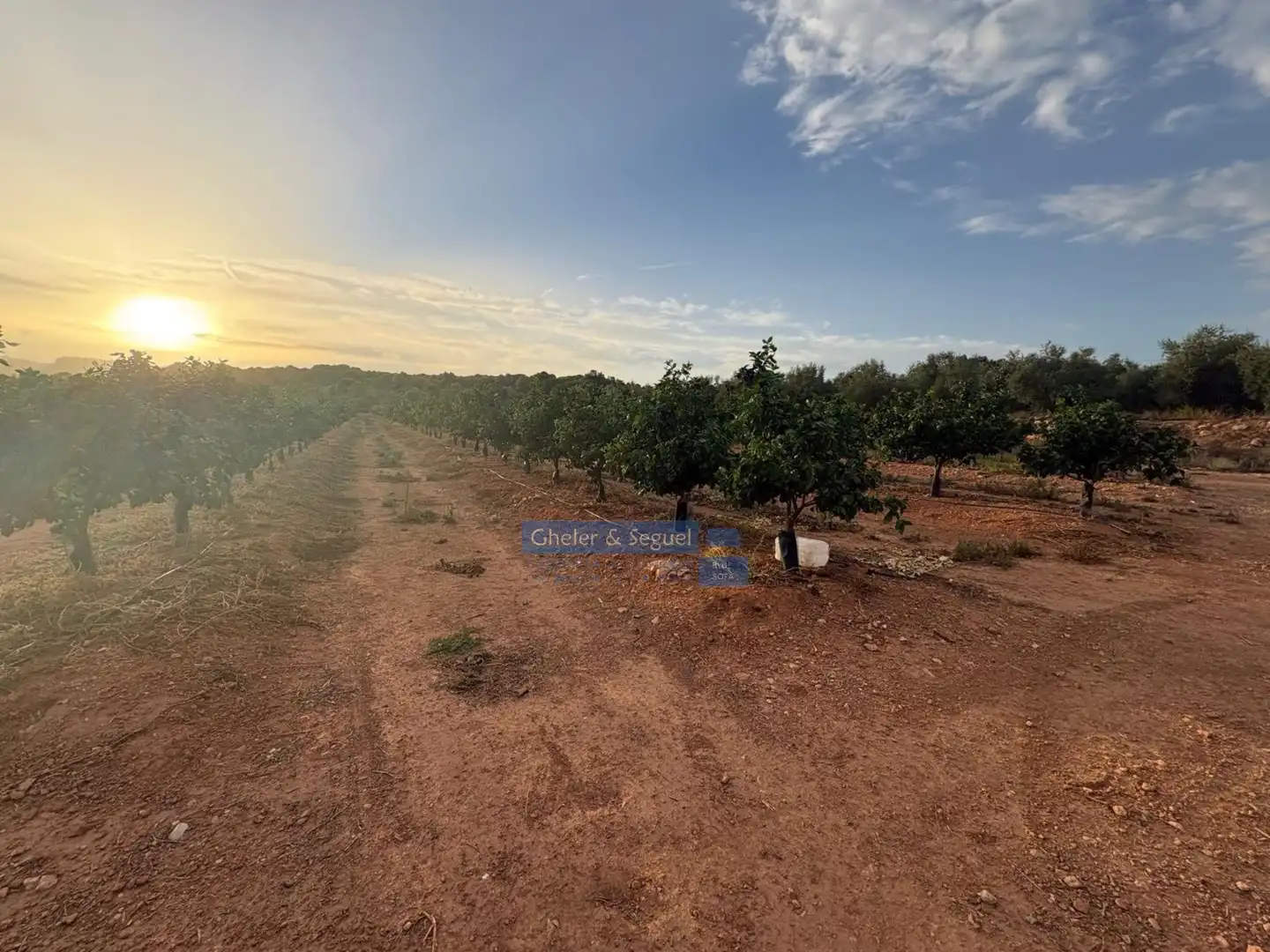 Terrenos y solares en venta en Algímia de Alfara, imagen 5