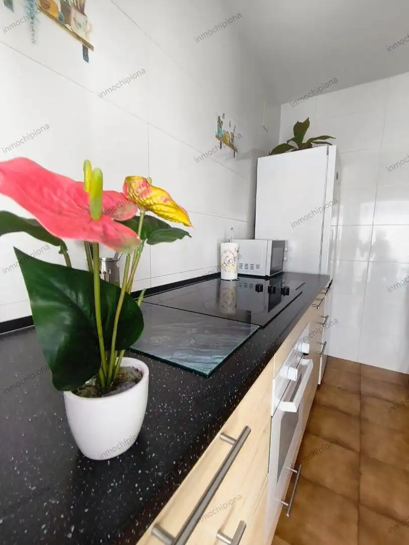 Dúplex en venta en Puerto Deportivo, imagen 14