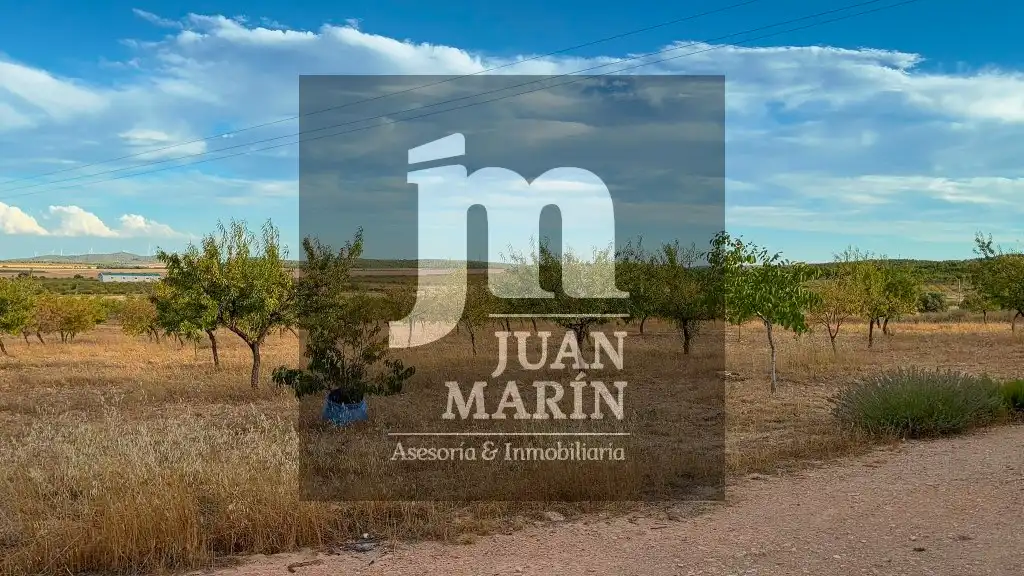 Finca rústica en venta en Peñas de San Pedro con Calefacción, Jardín privado y Amueblado