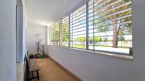Foto 2 de Planta baixa de lloguer a El Altillo, Jerez de la Frontera