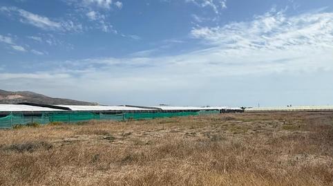 Photo 3 of Land for sale in Polígono Polígono 40 Paraje 71 el Palmar, 71, Calahonda - Carchuna, Motril