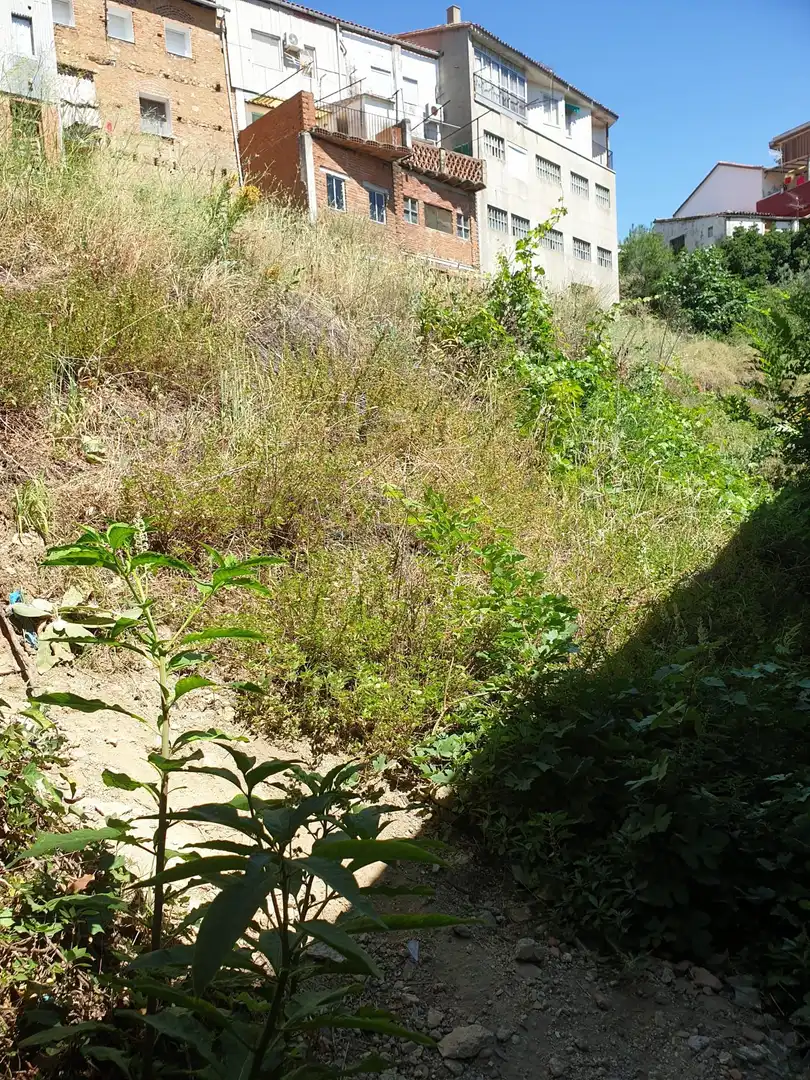 Haus zum Verkauf in Jarandilla de la Vera, imagen 6