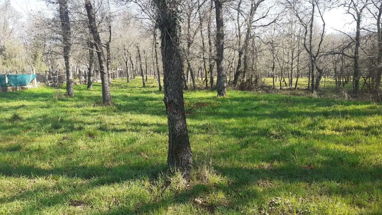 Terreni e lotti in vendita a Paderne de Allariz, imagen 13