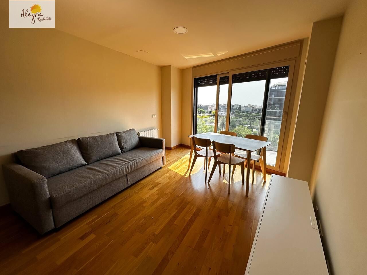 Sala d'estar de Apartament de lloguer en Castellón de la Plana / Castelló de la Plana amb Aire condicionat, Calefacció i Jardí privat