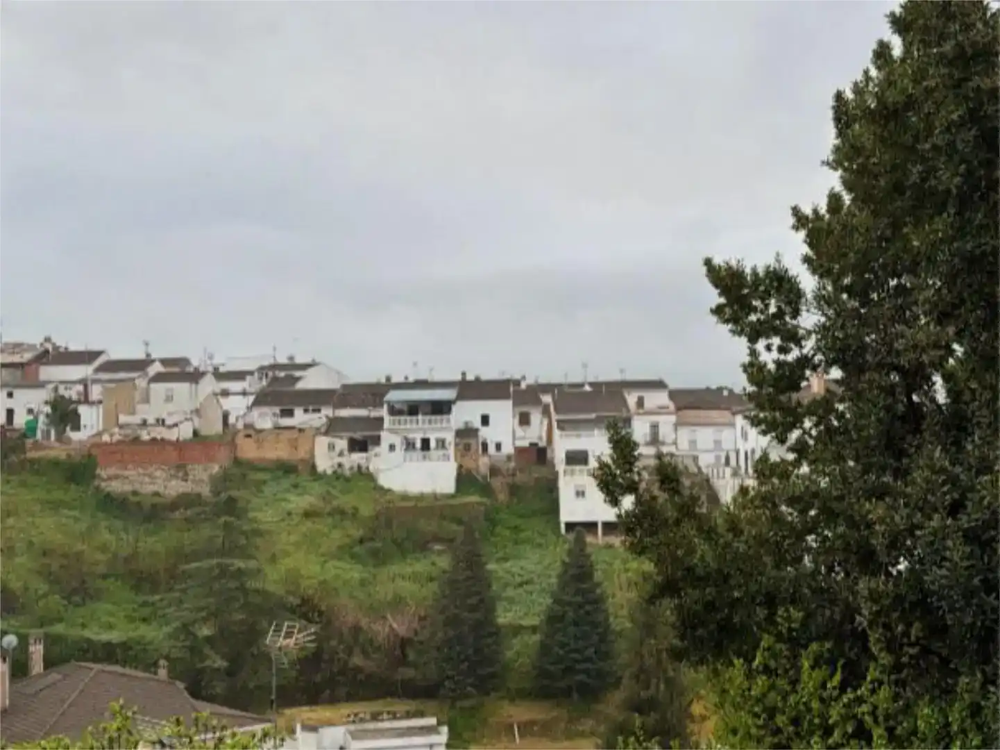 Vista exterior de Casa adosada en venda en Arriate amb Moblat