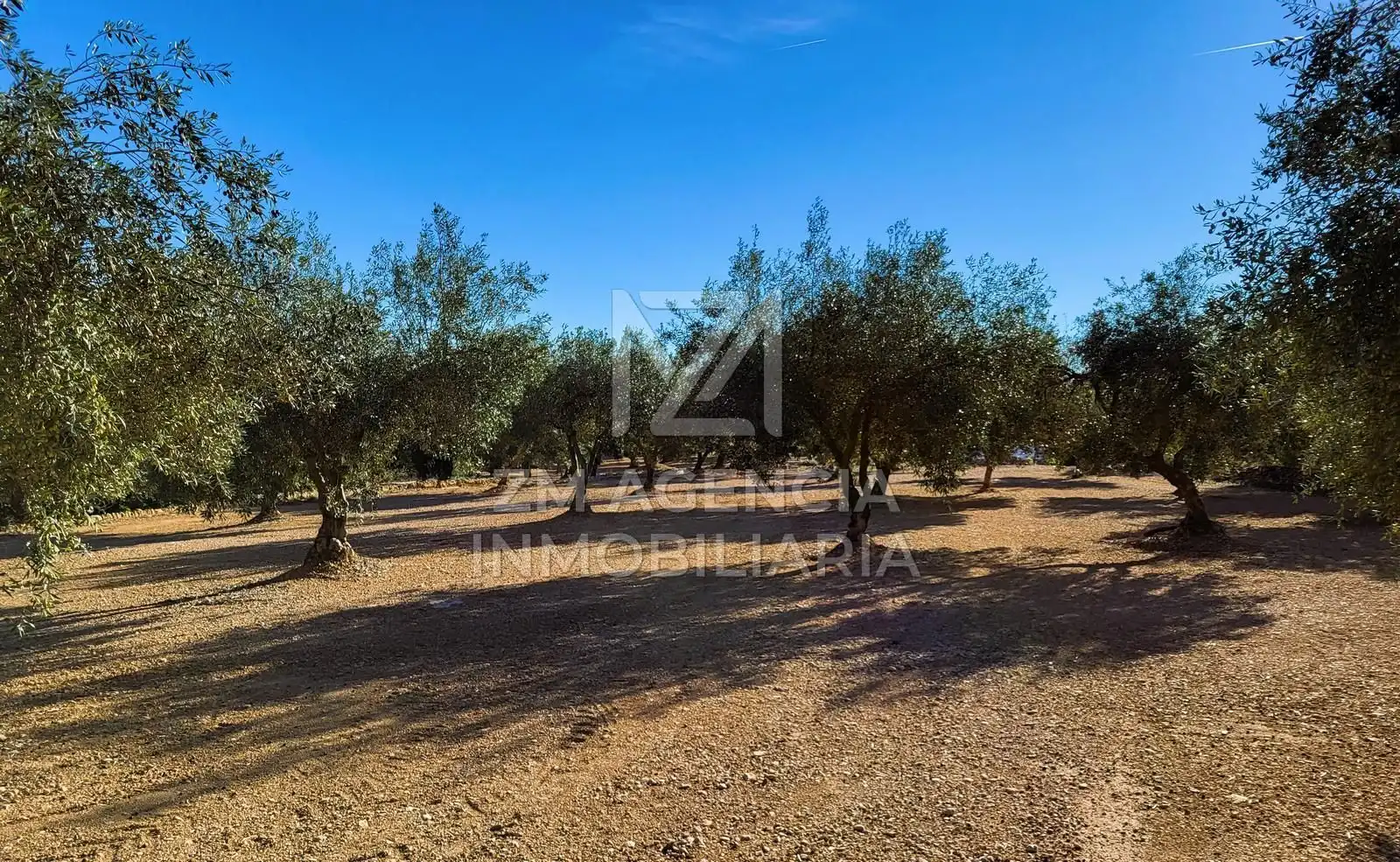 Casa rústica en venta en Traiguera, imagen 21