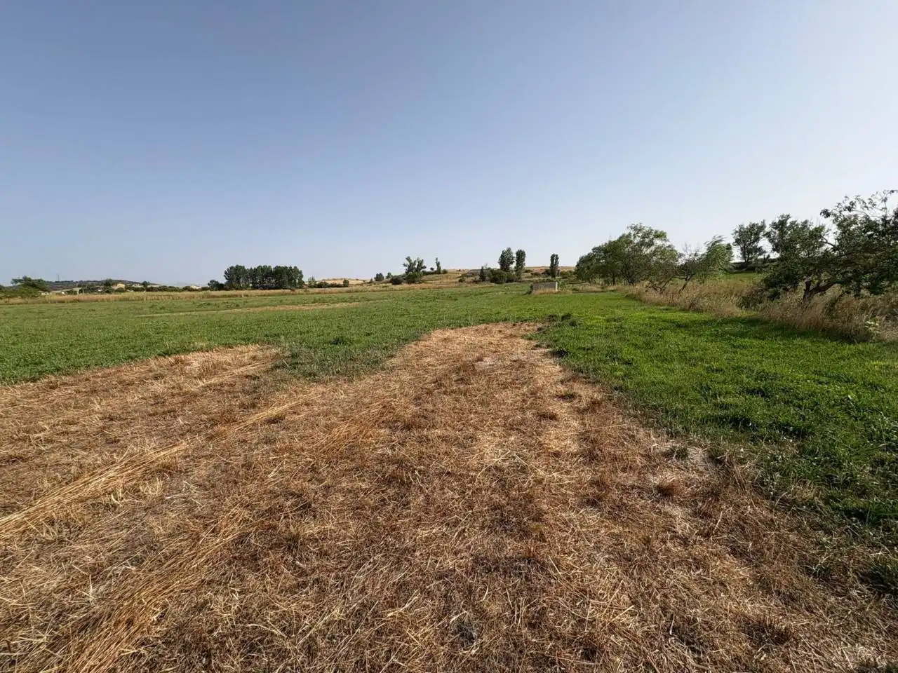Terreno rústico en venta en Ciudad Rodrigo