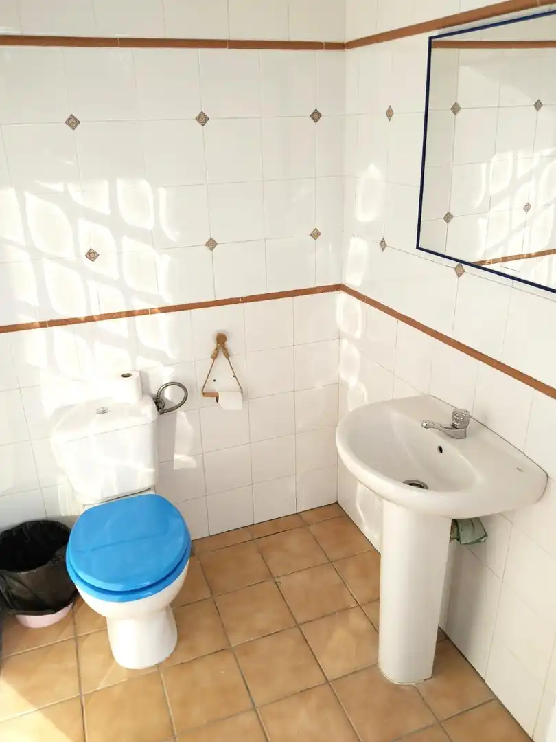 Villa con piscina in vendita a Castilblanco de los Arroyos, imagen 17