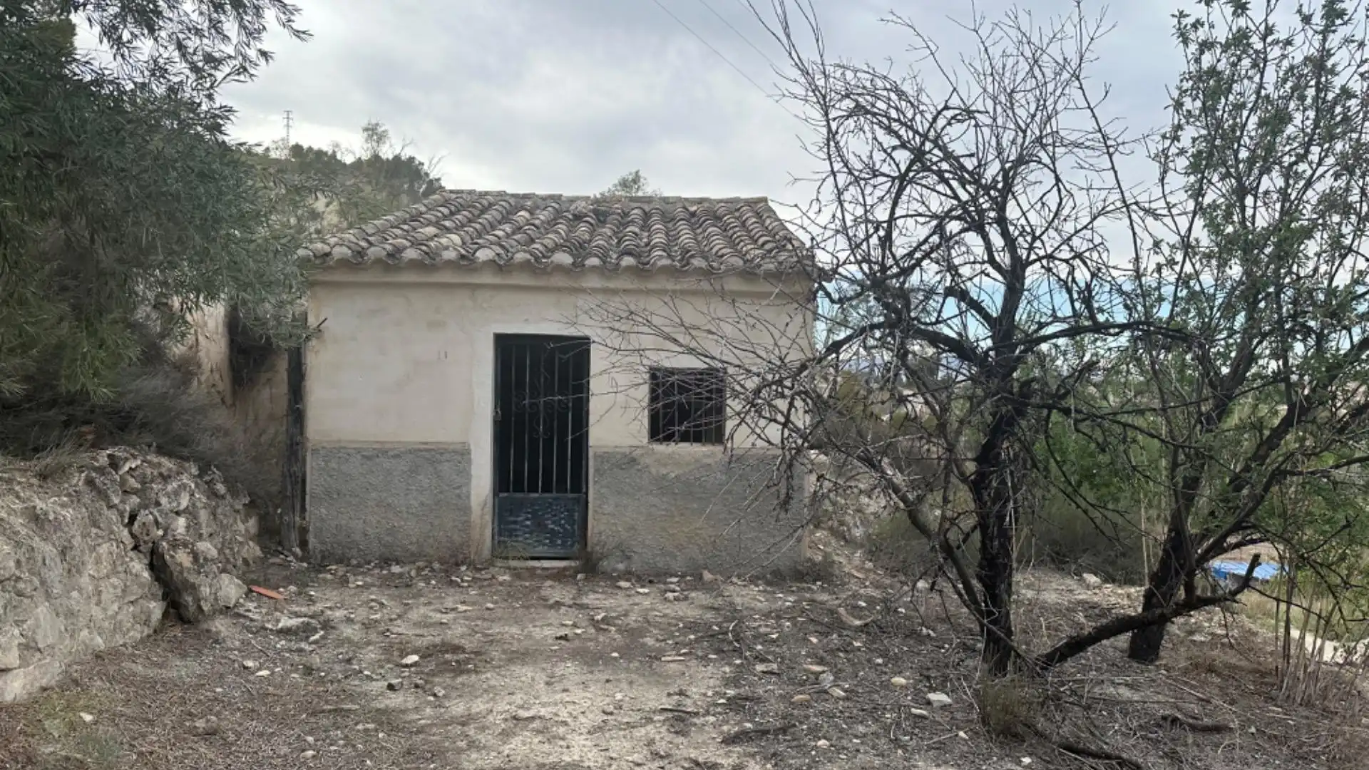 Vista exterior de Casa o chalet en venta en Cieza